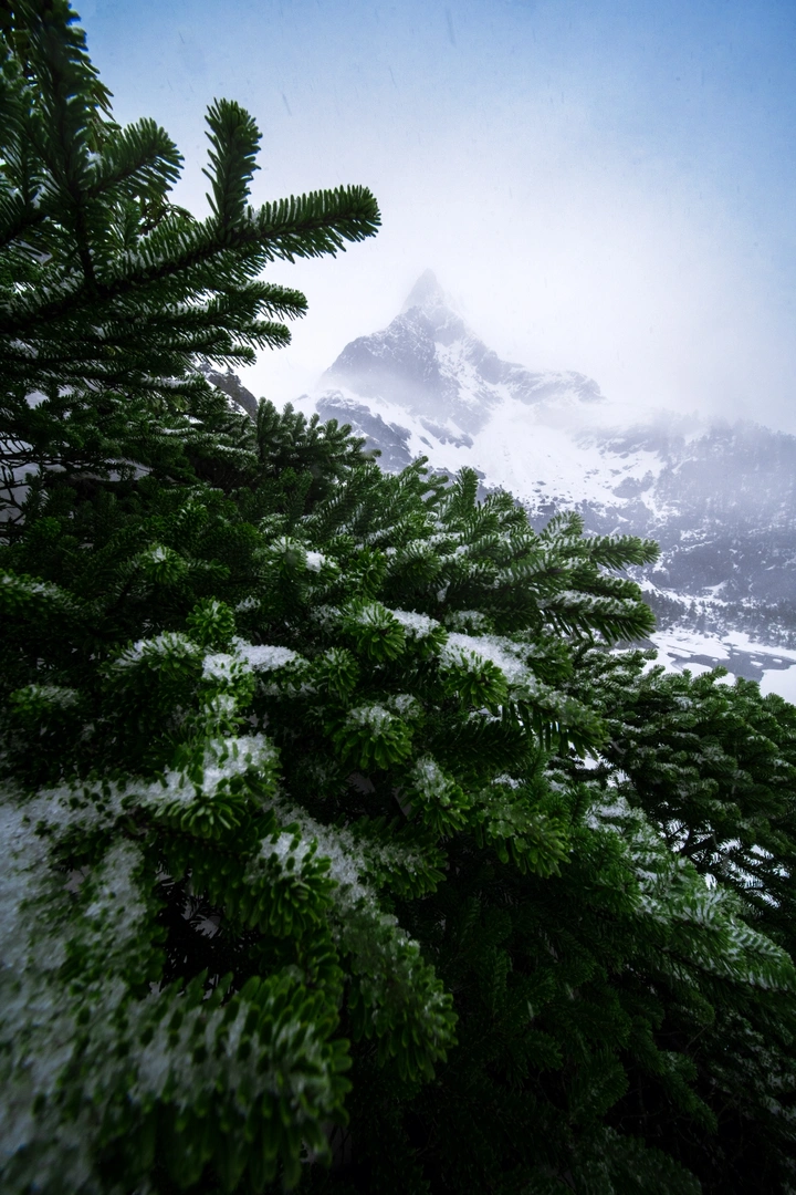 冰天雪地·南极洛