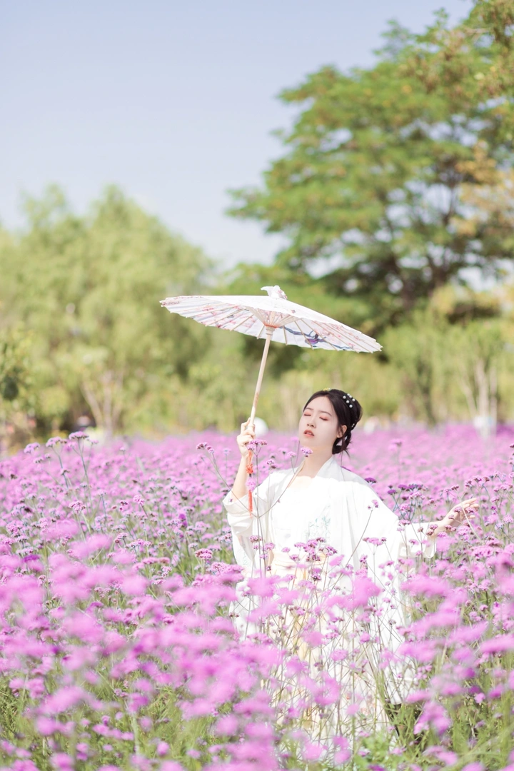 马鞭草