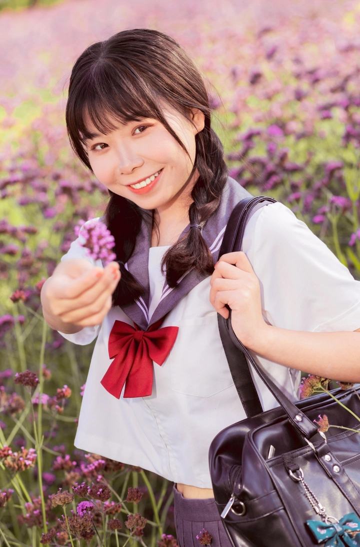 兰州马拉松公园马鞭草