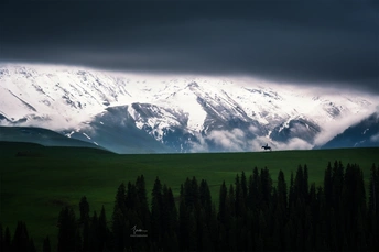 背景中有一片绿草地和一座被雪覆盖的山峰。