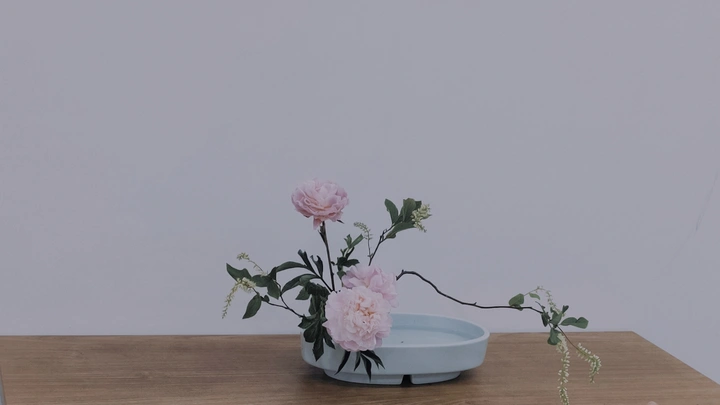 生活要有鲜花 阳光和浪漫诗集