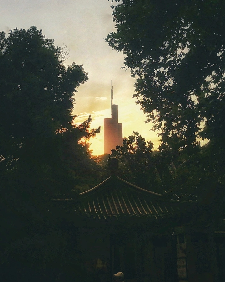 紫峰