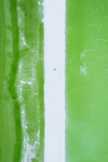 浴室墙上的一块绿色油漆