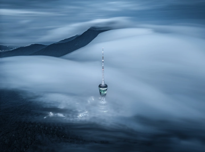 飘渺梧桐夜
