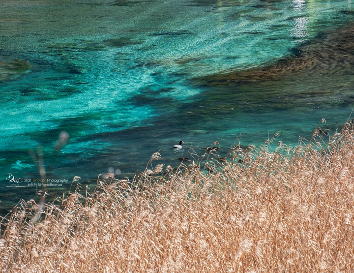 春未来江水蓝