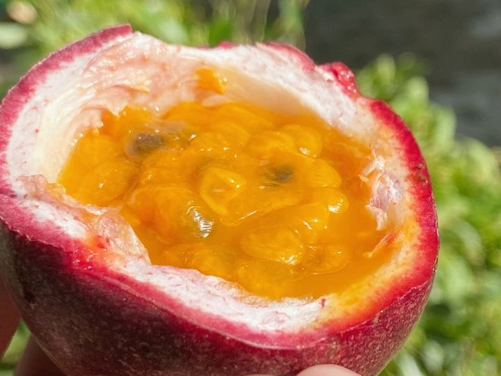 百香果