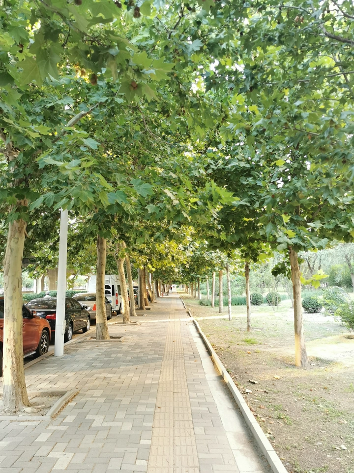 道
