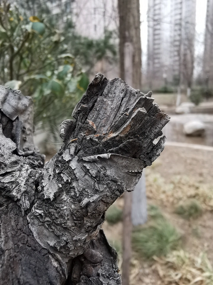 岁月痕迹