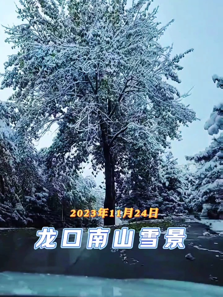 龙口南山雪景➠23年11月24