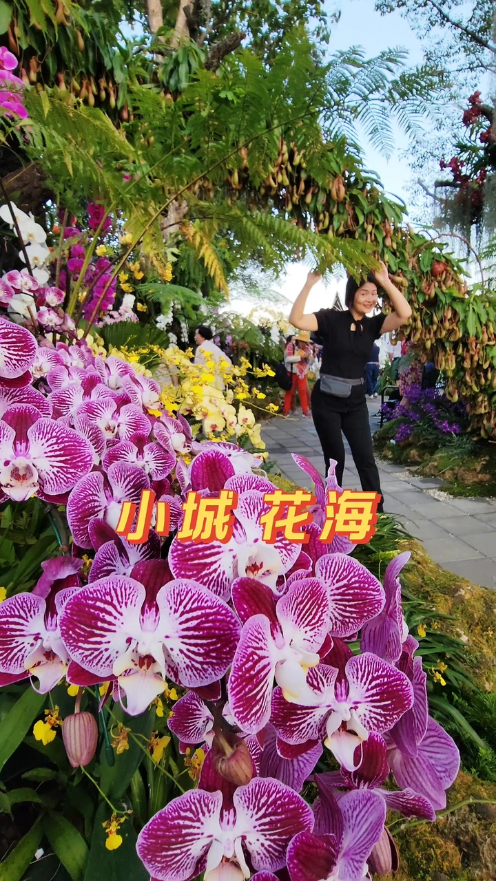小城花海