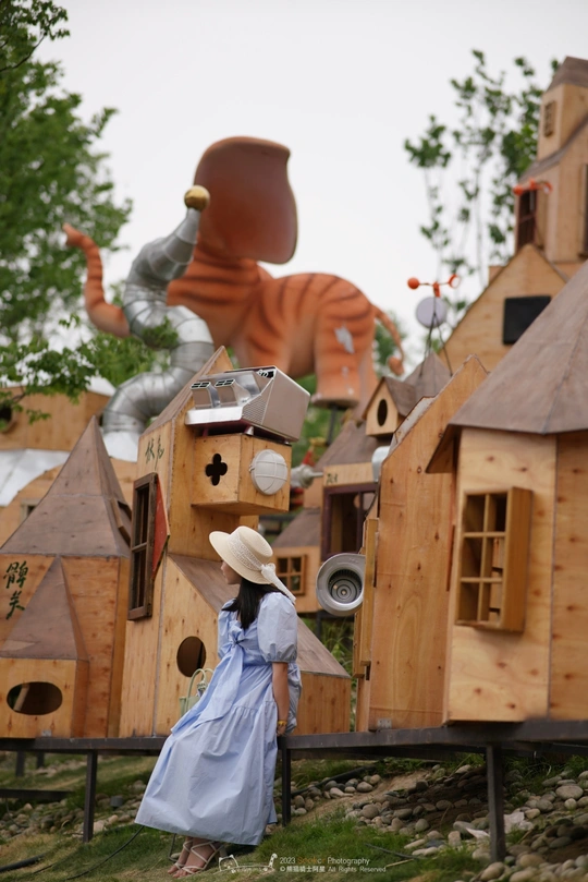 站在一排木屋旁边的女人