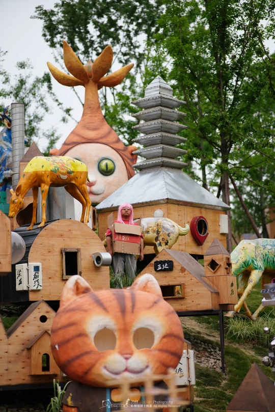 一座木质房屋上有一只猫