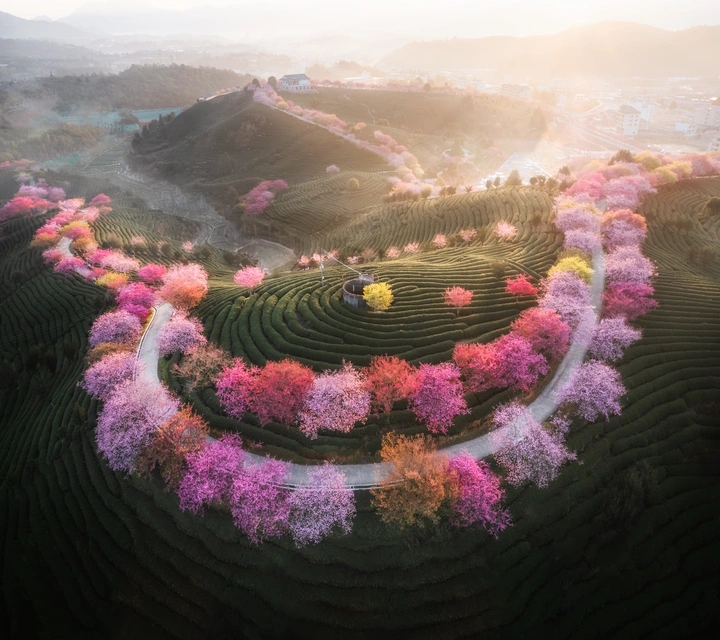 樱花项链～