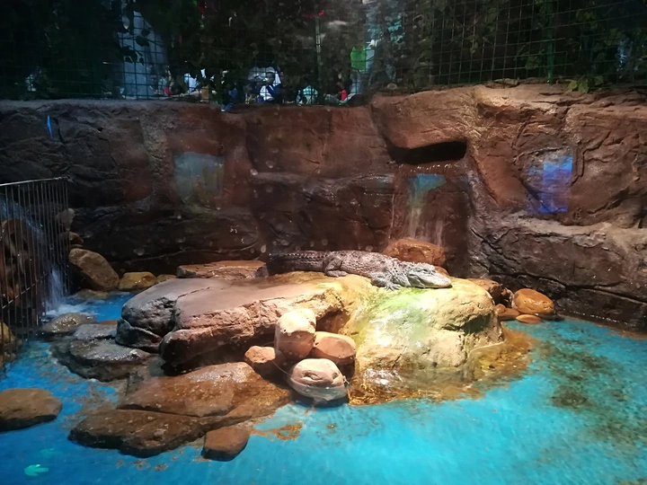 海洋馆