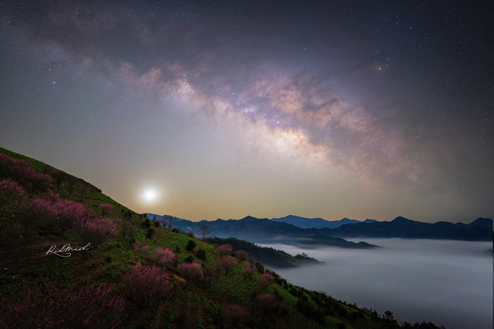 花语星河