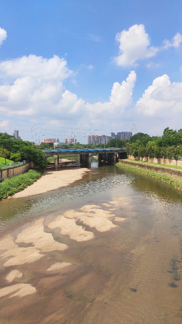 河道水流