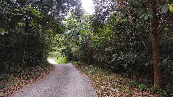 道路崎岖