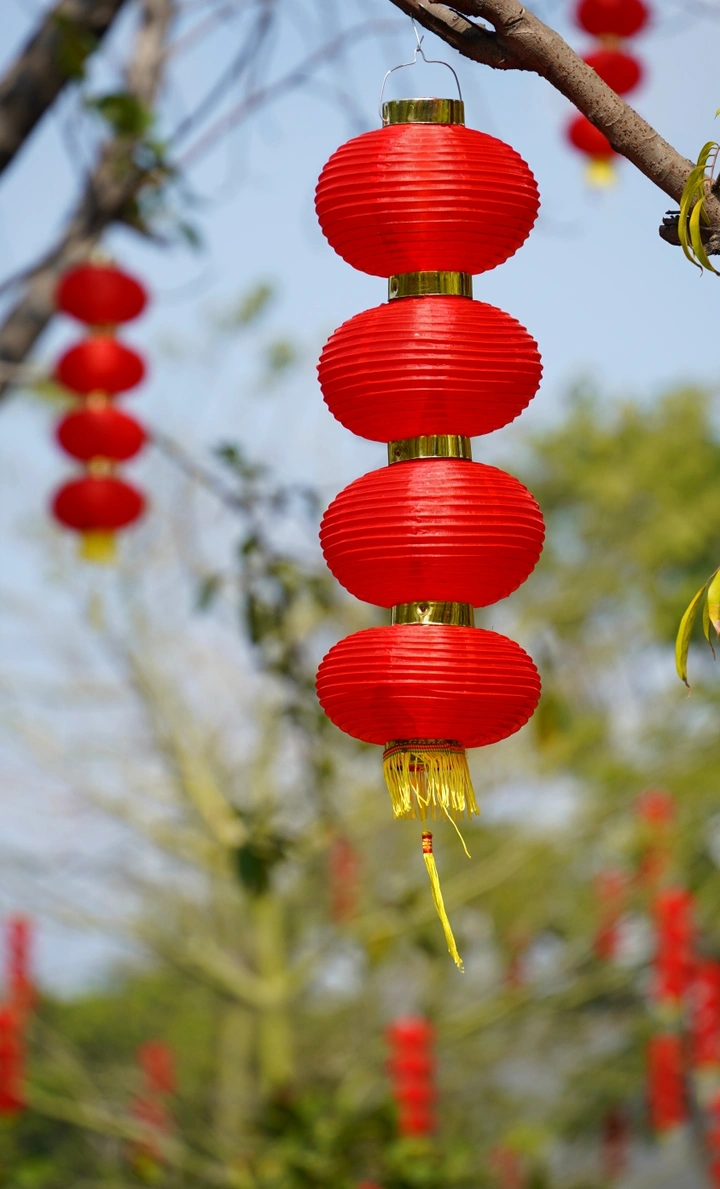 中国年中国风红灯笼