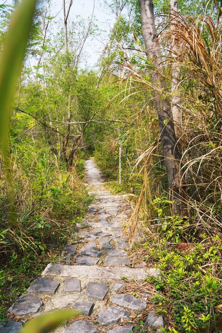 山路古道石头路