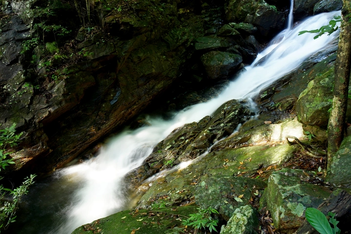 山涧水流瀑布泰山涧溪流