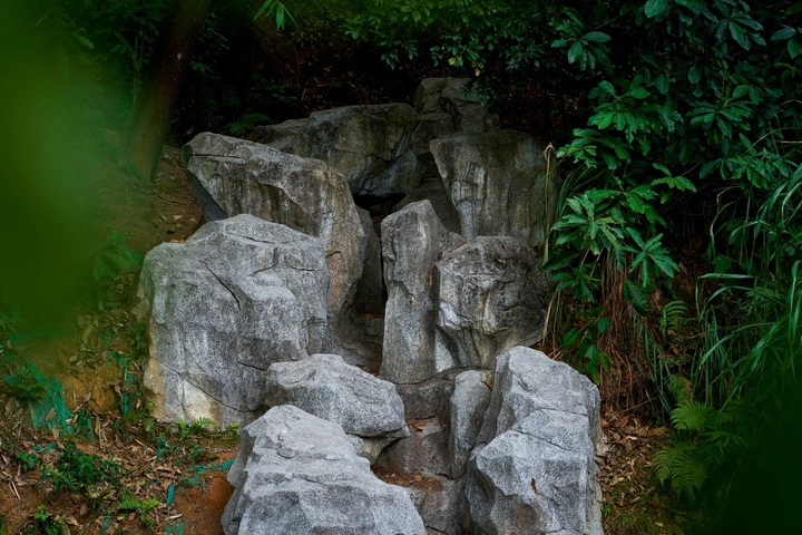 阳台山森林公园石头