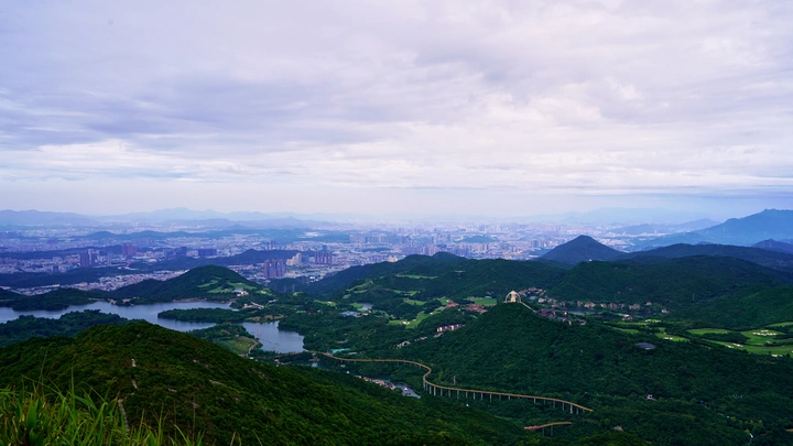 鸟瞰山水城市风光深圳盐田坪山