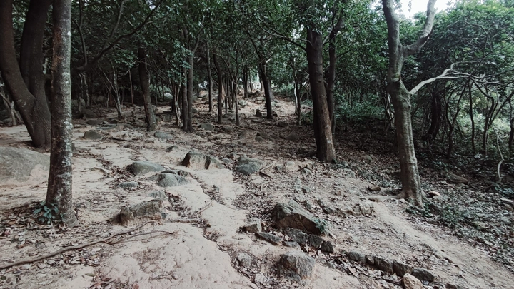 山林石头步道