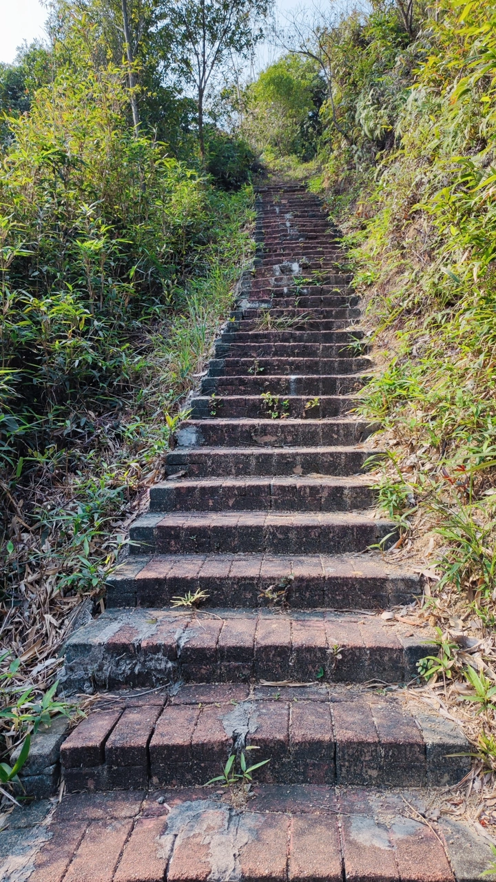 山林步道台阶板砖路