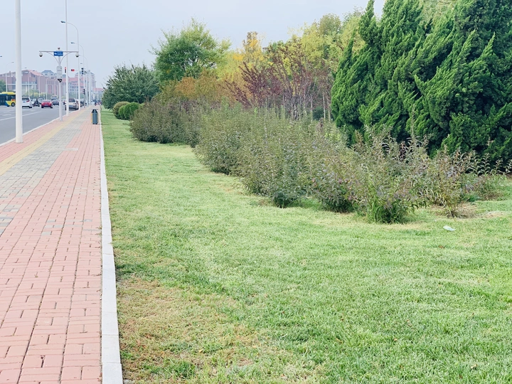 街道