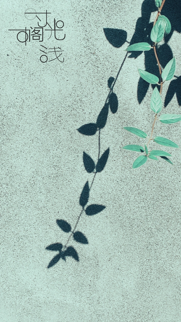 《探》