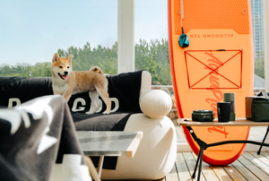 一只小狗站在一个黑色长沙发前面 长沙发前面有一个窗户 窗户里展示了一个带有椅子和冲浪板的甲板。