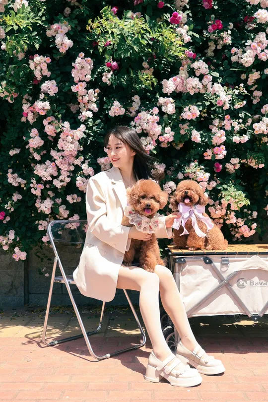一位年轻女子坐在粉色花朵前的椅子上 抱着一只棕色泰迪熊。