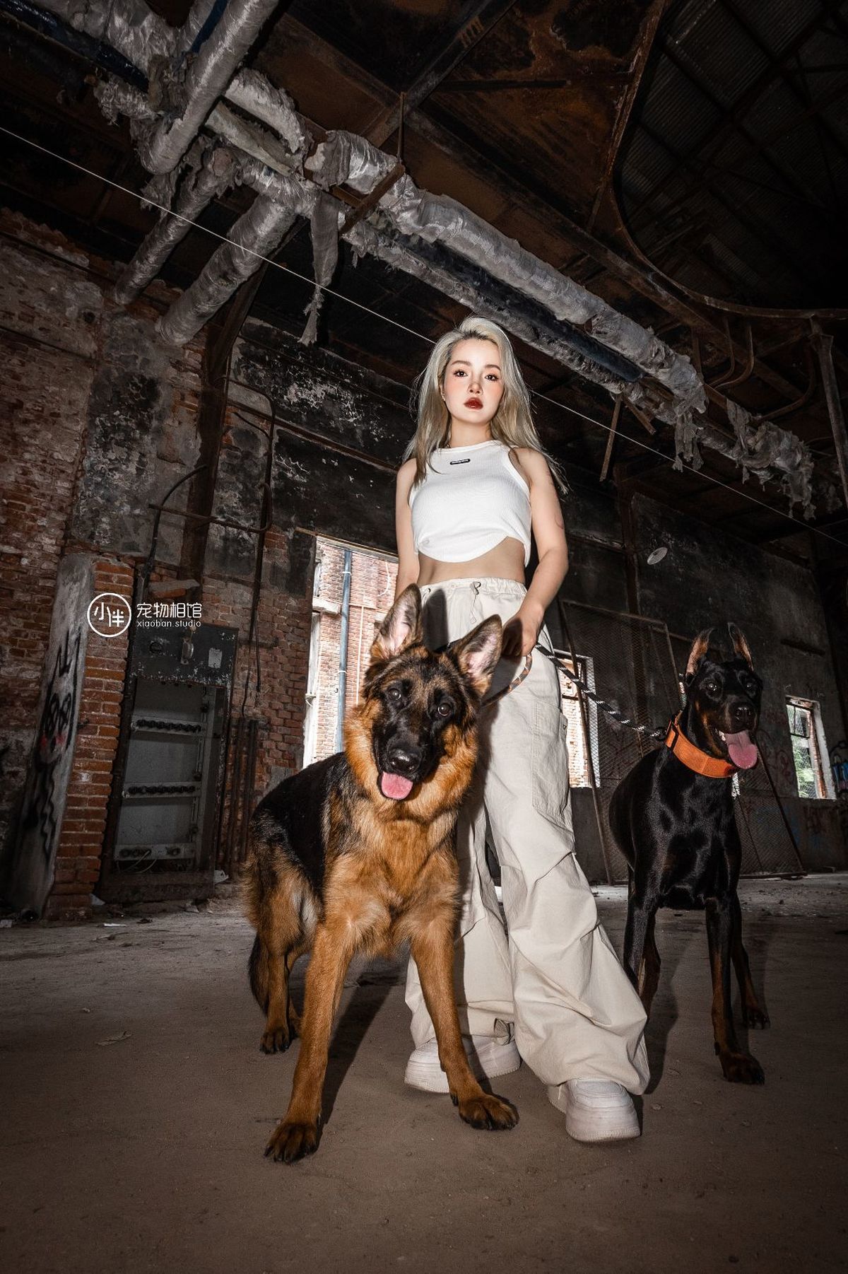 一个美丽的女子站在一座废弃的建筑旁边 旁边有一只白色的狗。