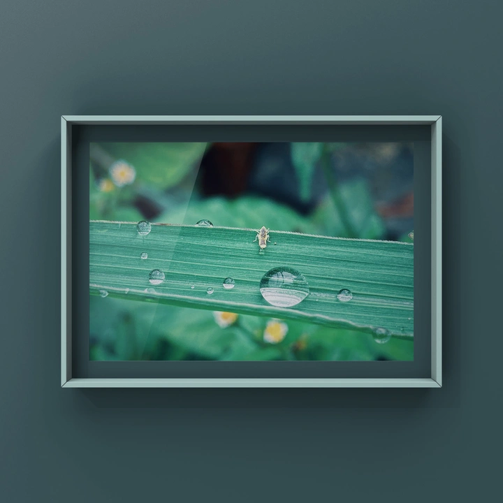 简约