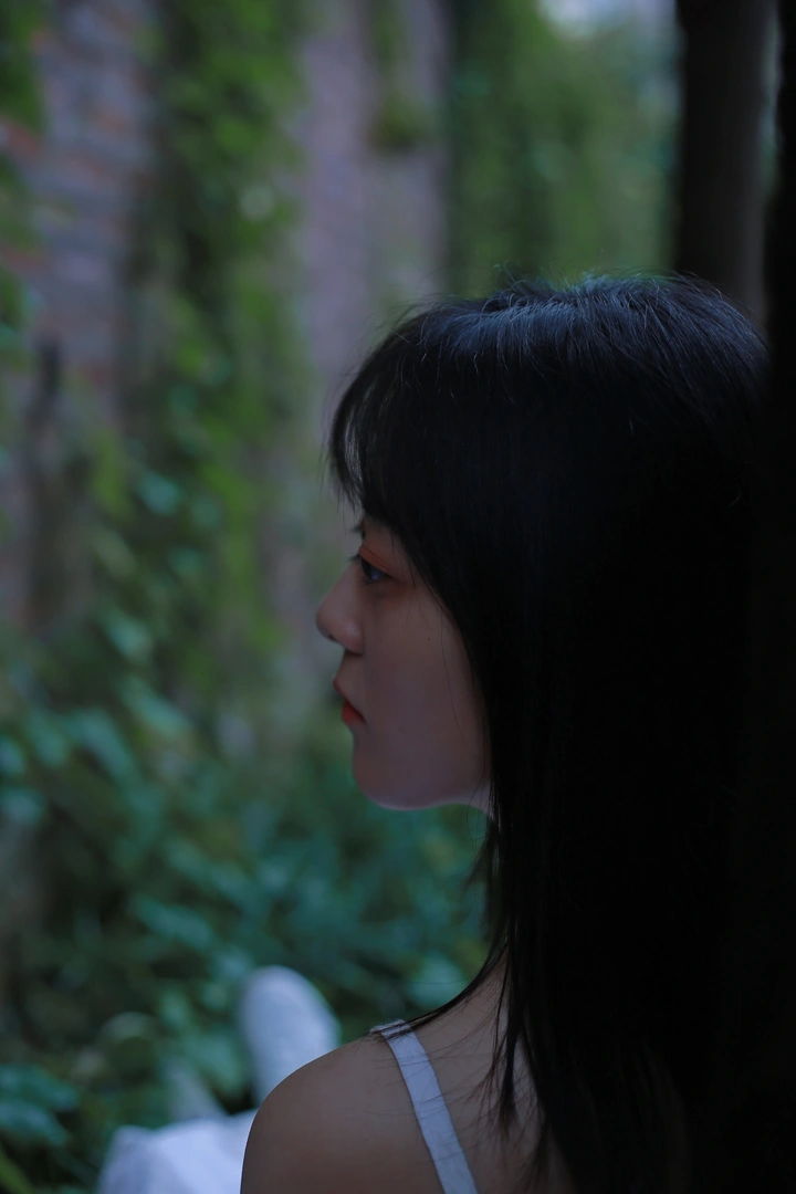 满墙爬山虎的夏天