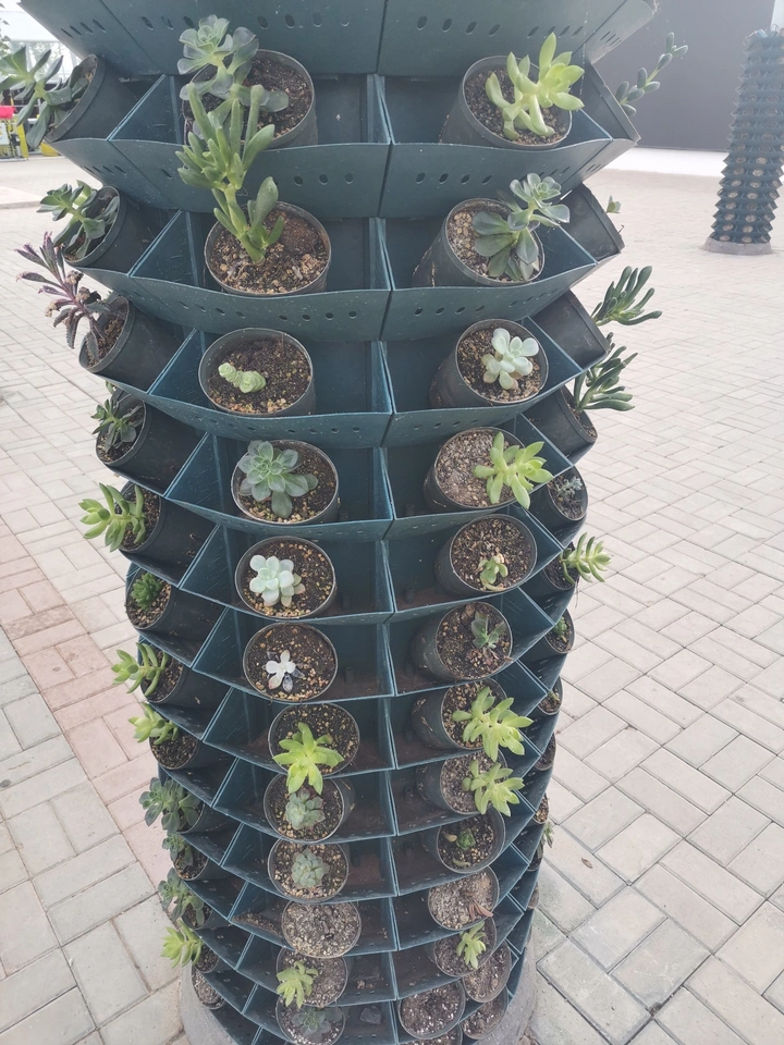 王吴村的绿色经济