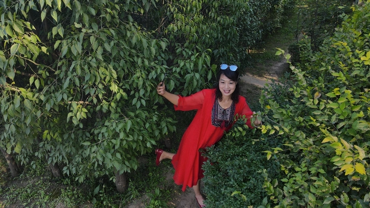 万绿丛中一点红