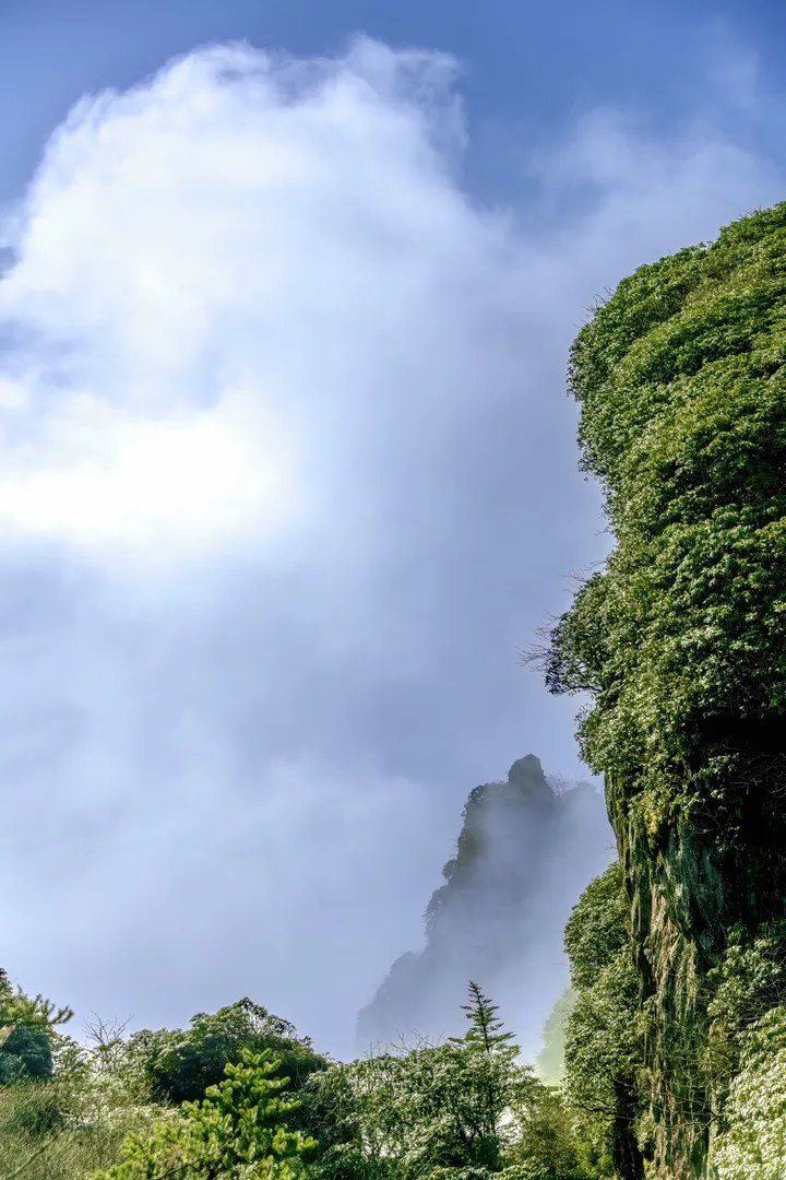 《如梦令·翠崖之景》