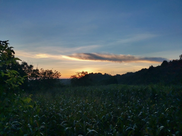 登高山望尽夕阳