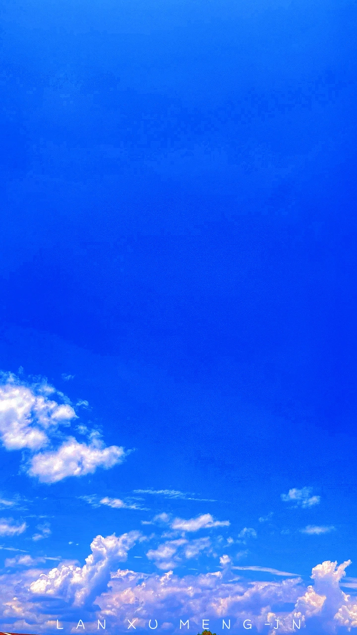 拍拍这个夏天