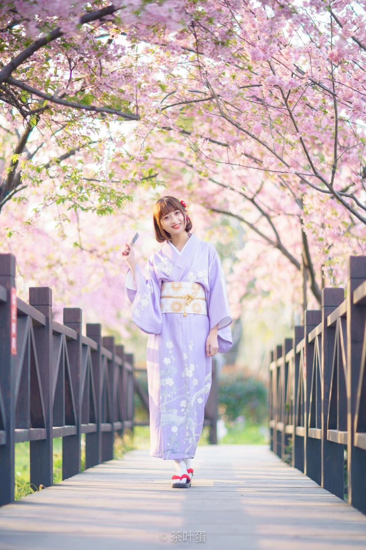 顾村公园樱花季