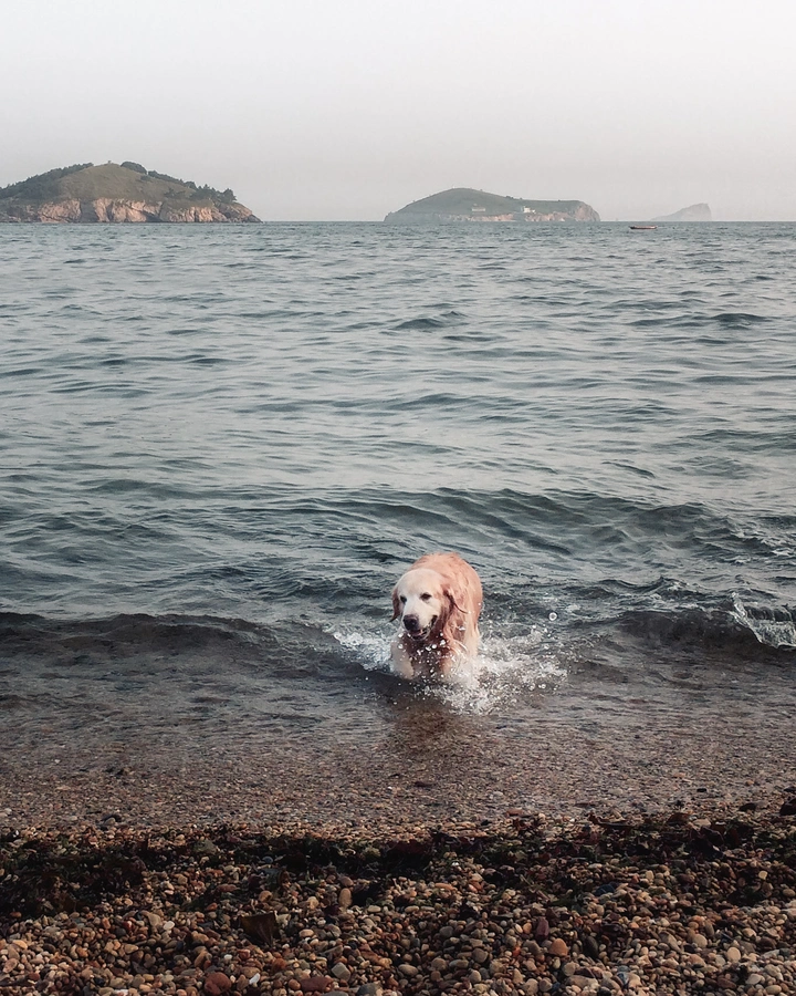 踏浪