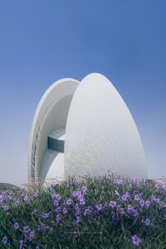 蓝天下开着紫色花朵的白色建筑