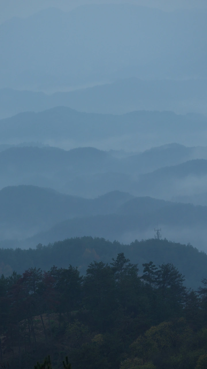 层层叠叠