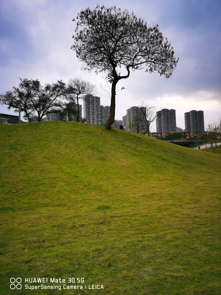 山水公园