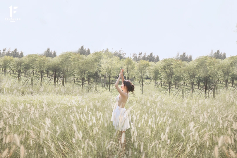 一个穿着连衣裙的年轻女子站在一片高草地上 手里拿着一把雨伞 此时空中飞行的飞盘吸引了她的注意。