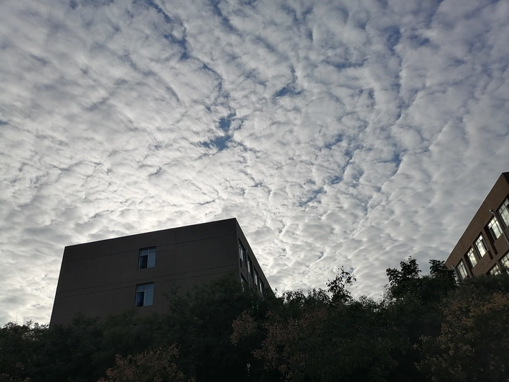蓝蓝的天空白云飘