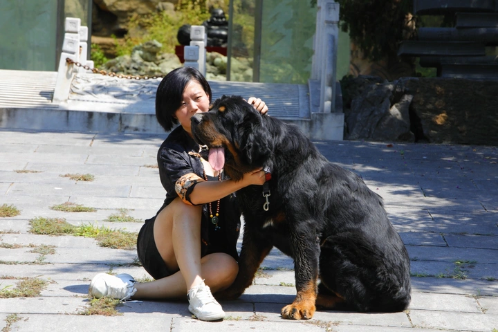 王占奎“藏獒之父”敬请关注藏獒故事