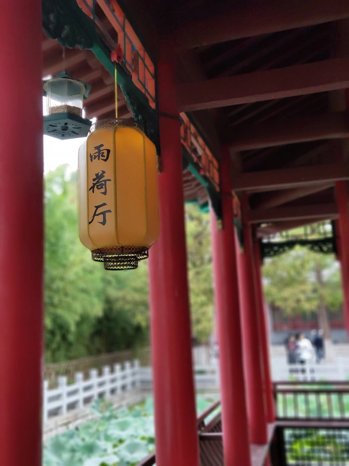 大明湖畔的夏雨荷在哪？