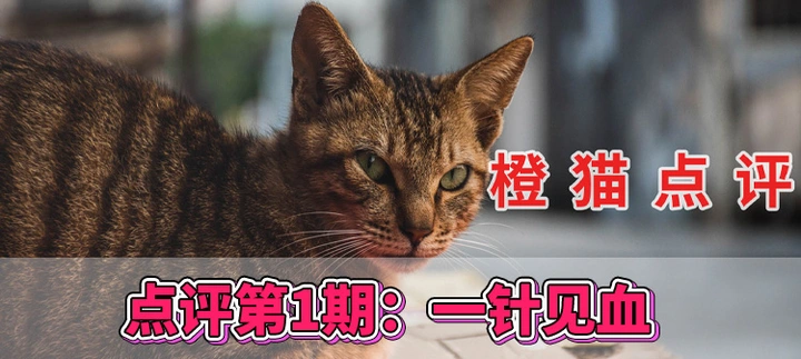 摄影点评｜第一期，一针见血一起学习